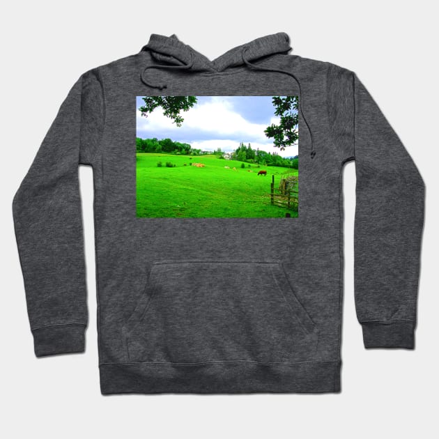 Lake District II Hoodie by tomg